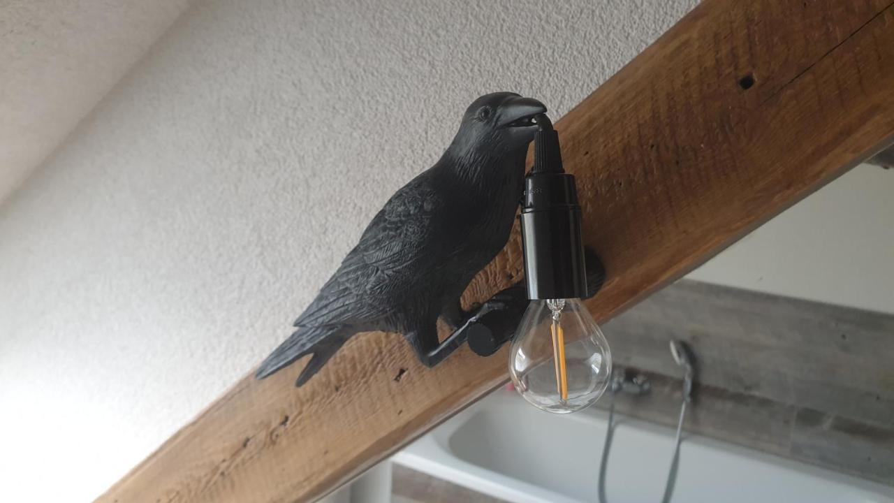 Seensucht & Urlaubstraeume, Ferienwohnung "Seeadler" Grossräschen Exterior foto